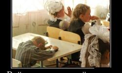 Все равно папа все решит