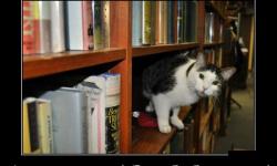 А ну потише