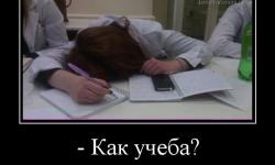 Как учеба