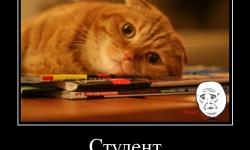 Студент на 4 паре