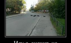 Иду я значит на экзамен